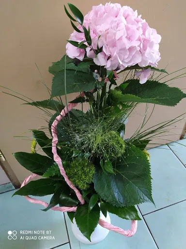 Kwiaciarnia "Baccara" Zbigniew Niemiec